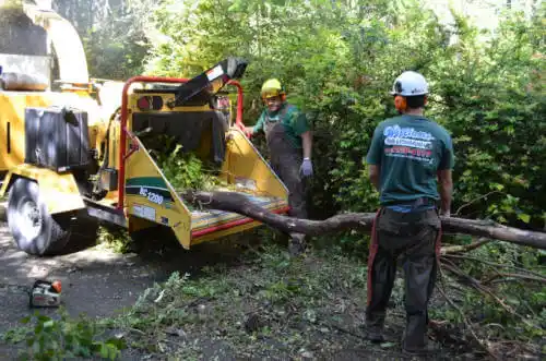 tree services Brawley